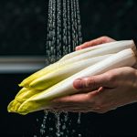 Comment laver les endives : astuces simples et efficaces