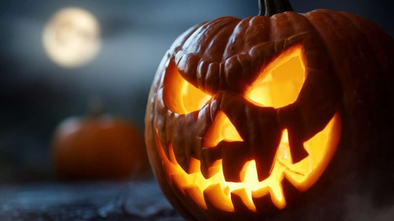 Comment préparer une citrouille pour halloween en 5 étapes simples